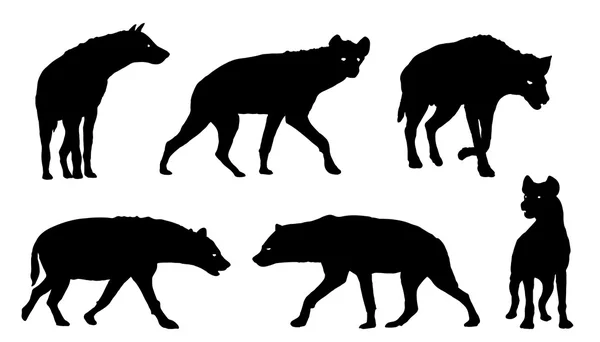 Silhouettes Hyena — Image vectorielle