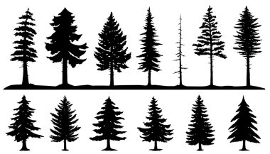 conifer tree silhouettes clipart