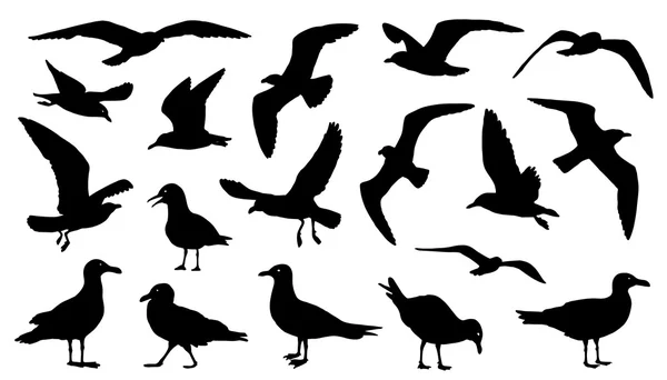 Silhouettes ensemble mouette — Image vectorielle