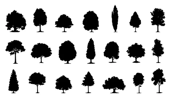 Tree various silhouettes — Stock Vector