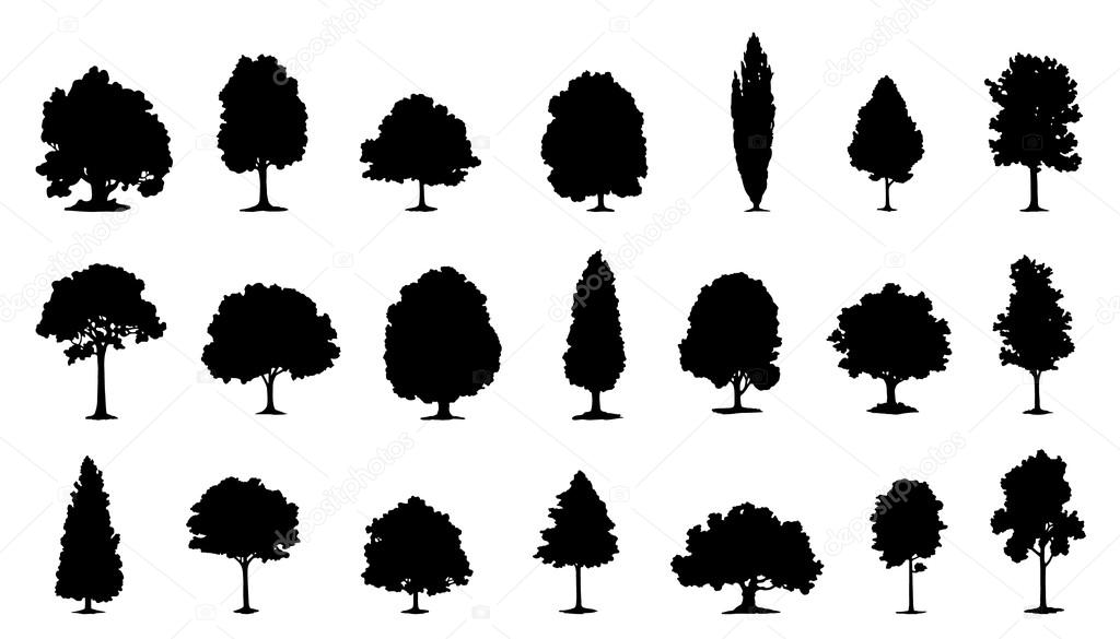 tree various silhouettes