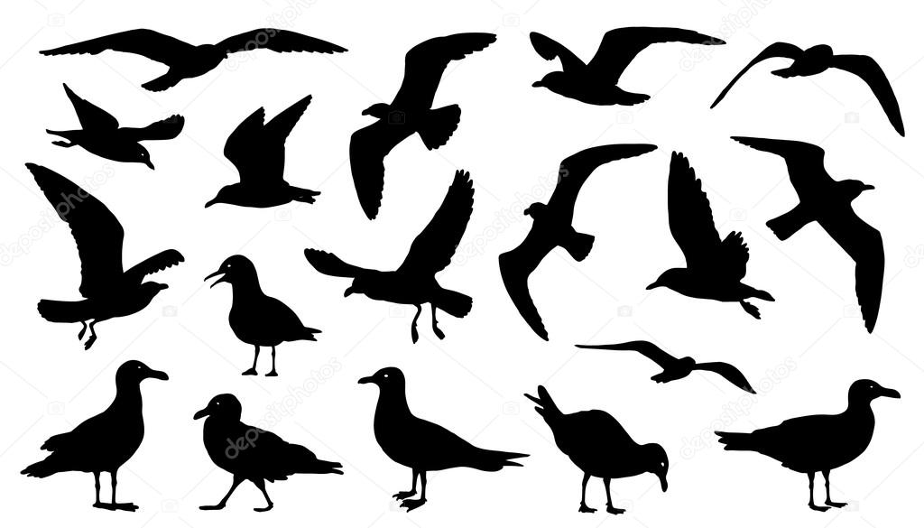 Seagull Set Silhouettes Stock Vector C Yyanng 92062732