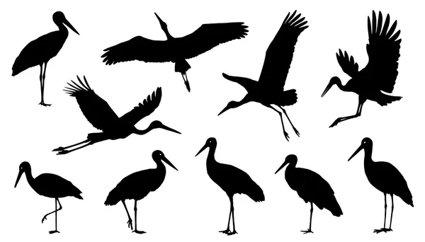 Various stork silhouettes — Stock Vector