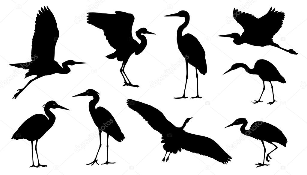 various heron silhouettes