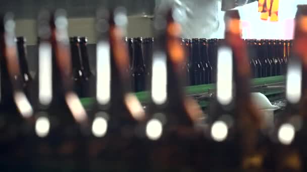 Бурые бутылки на линии розлива в современном пивоваренном заводе - крупный план — стоковое видео