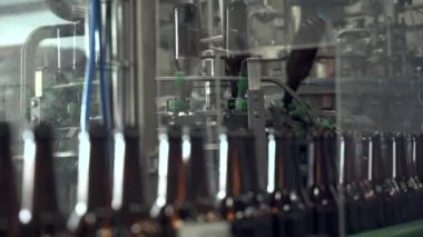 Bir su akışının altındaki taşıma bandında bir şişe bira. 4k