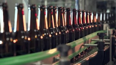 Modern bir bira fabrikasının dolum hattında kahverengi şişeler. Yakın plan.