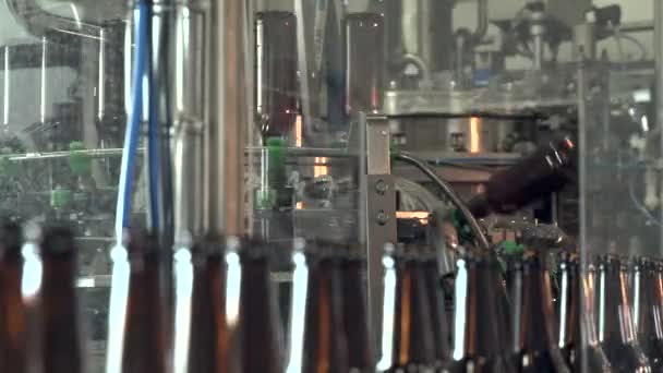 A bottle of beer on a conveyor belt under a stream of water. 4k — 비디오