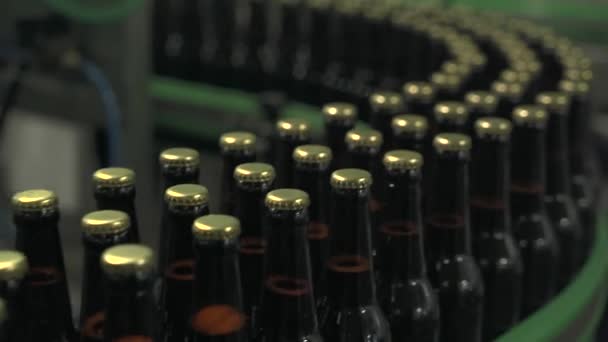 Brown bottles on the filling line in a modern brewery -- close-up — 图库视频影像