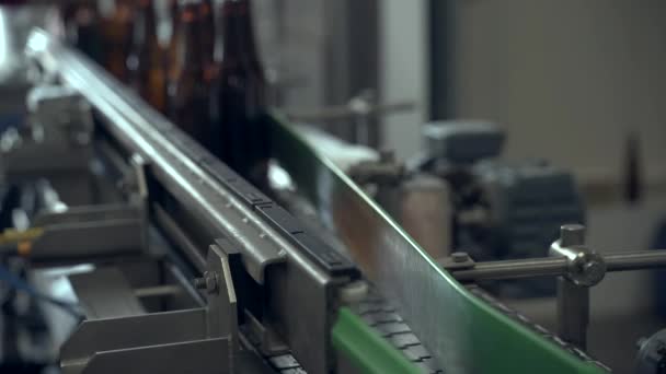 Bouteilles brunes sur la ligne de remplissage dans une brasserie moderne - gros plan — Video