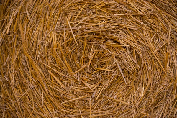 Straw — Stock Photo, Image