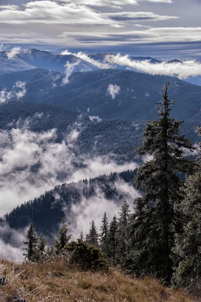 Berglandschap — Stockfoto