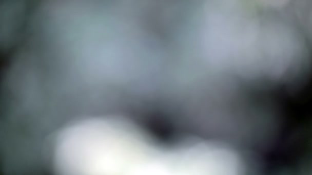 Appareil photo reflex numérique Objectif Focalisation et contrôle 