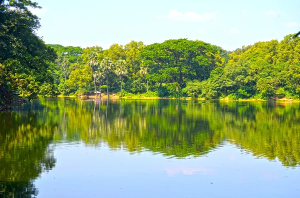 Clean lake in green spring summer forest. Blue sunny sky. — Stock Photo, Image