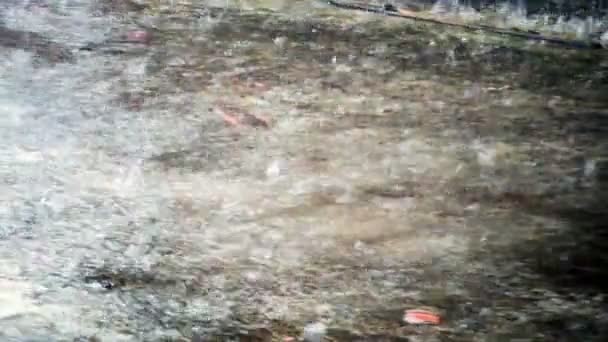 Chuva cai sobre uma poça de água em um dia de cidade chuvosa cinza . — Vídeo de Stock