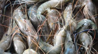 Balık pazarı içinde