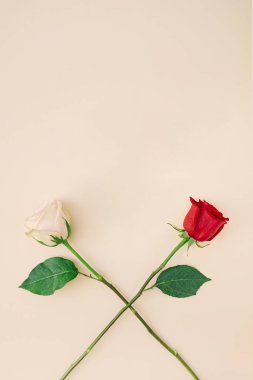 Minimalist Sevgililer Günü kartı fikri için fotokopi alanı olan soluk renk arkaplanlı iki uzun kök gül.