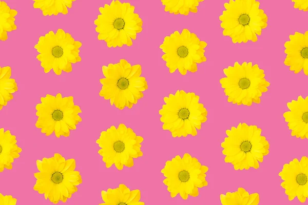 Moderní Květinový Vzor Žlutých Sedmikrásek Jasně Růžové — Stock fotografie