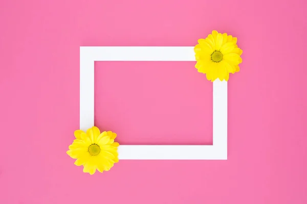 白いフレームで黄色の花と空のスペースのためのテキスト上の明るいピンクの背景 ロイヤリティフリーのストック写真