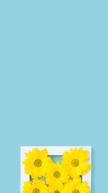 Mavi üzerine beyaz çerçeveli sarı çiçekler, uzun pankart tasarımı