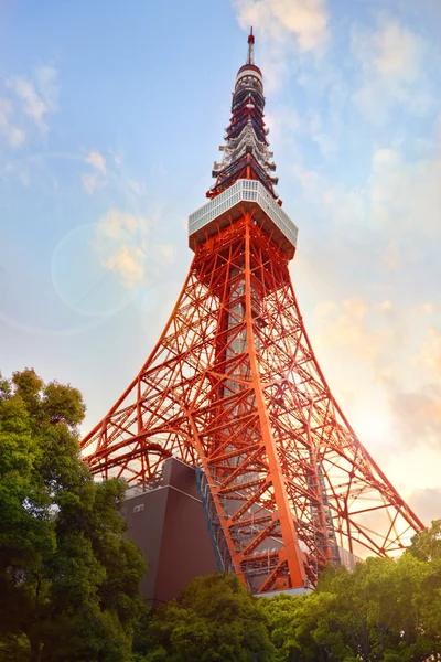 Tokyo Tower in de avond — Stockfoto