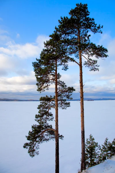 Winter outdoors landscape — Stock Photo, Image