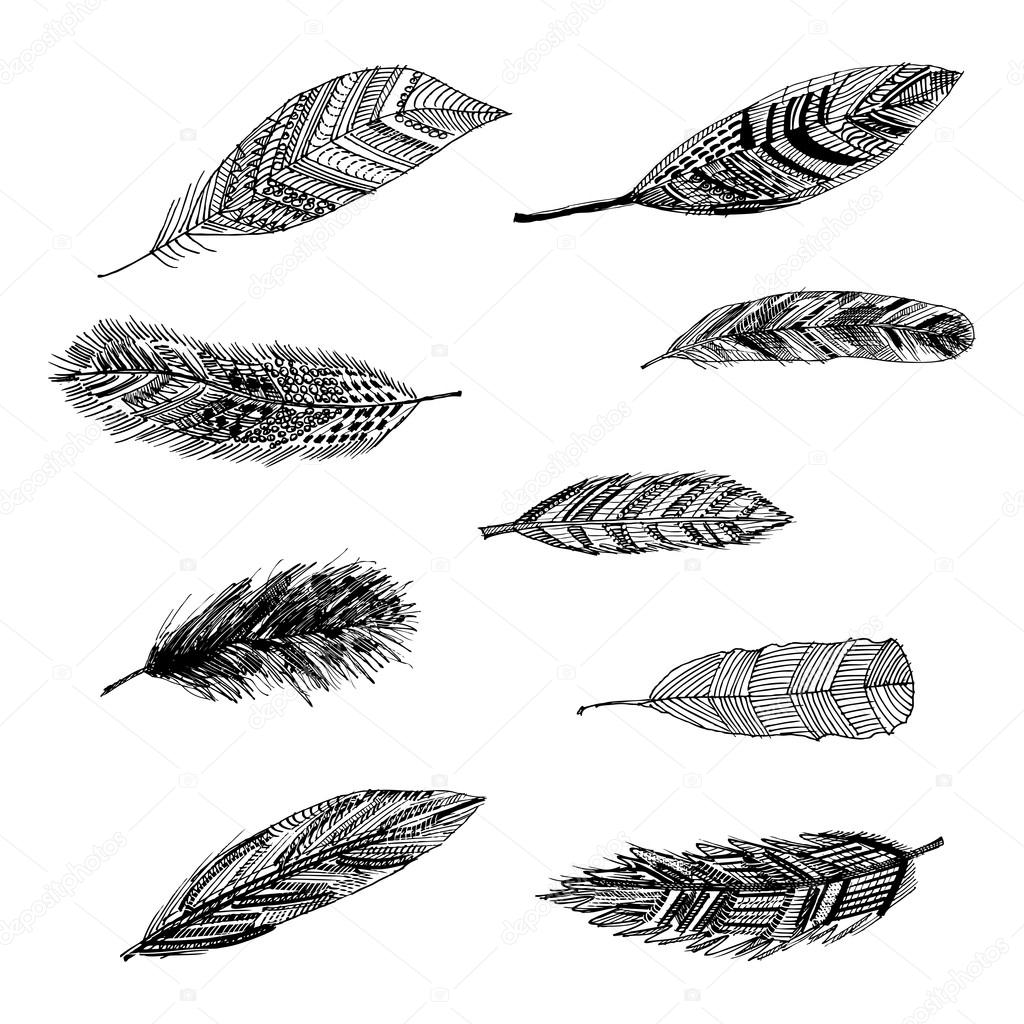Boho style - vector set of hand drawing feathers