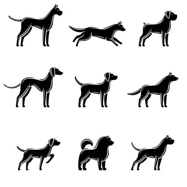 Dogs set. Vector — Stock Vector