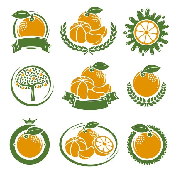 Mandarin set. Vector — Stock Vector