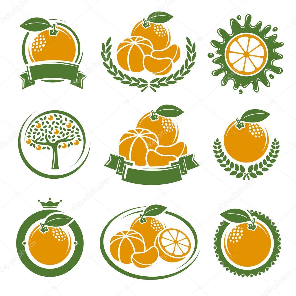 Collection mandarin set, edit size and color, vector