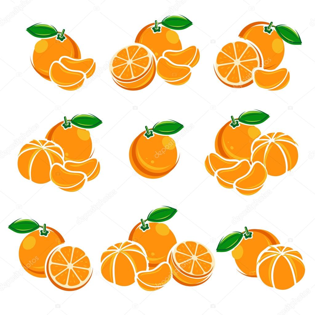 Collection mandarin set, edit size and color, vector