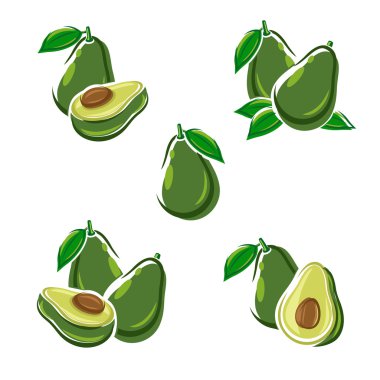 Avokado küme. Vektör