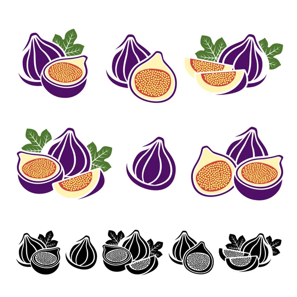 Figs set. Vector — Stock Vector