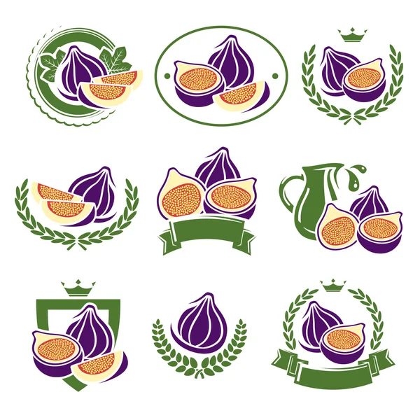 Figs labels and elements set. Vector — Stock Vector