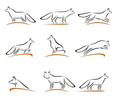 Fox ayarlayın. Vektör