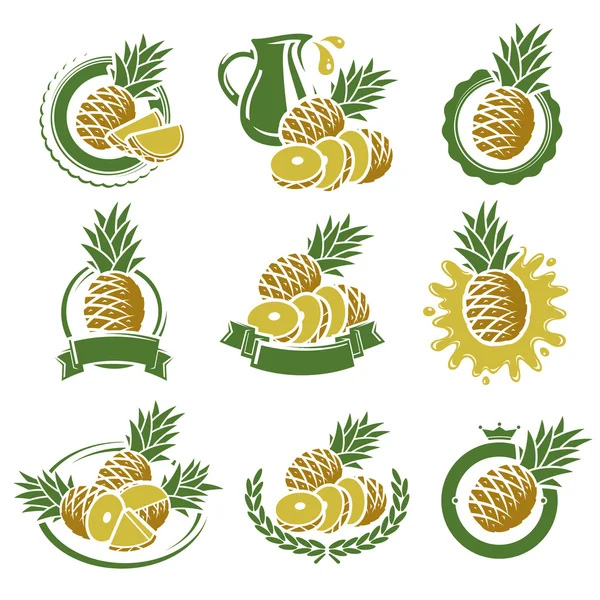 Pineapple labels and elements set. Vector — Stock Vector