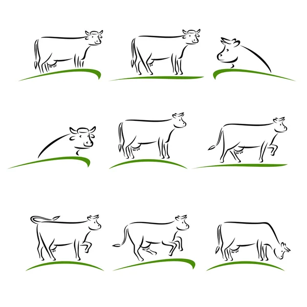 Conjunto de vacas. Vector Ilustración de stock