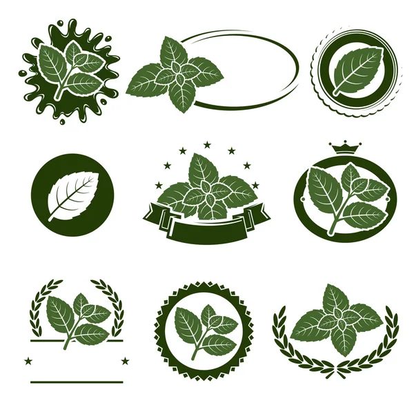 Set de etiquetas de hojas de menta. Vector Ilustración De Stock