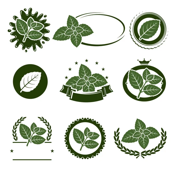 Set de etiquetas de hojas de menta. Vector Ilustración de stock