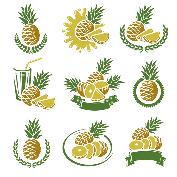 Set de etiquetas y elementos de piña. Vector Gráficos Vectoriales