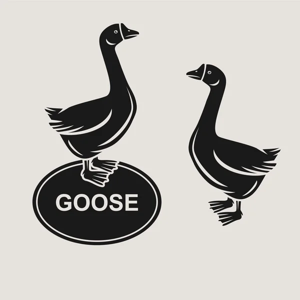 Goose set. Vector — Stock Vector