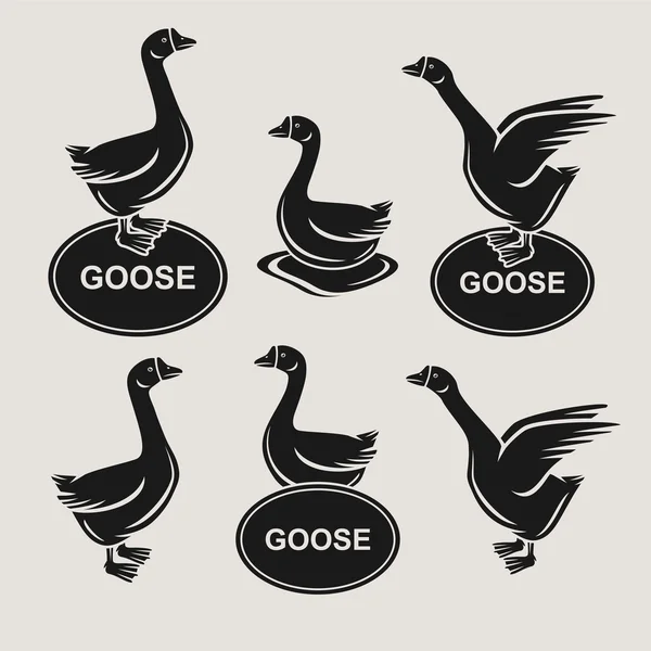 Goose set. Vektor — Stock vektor