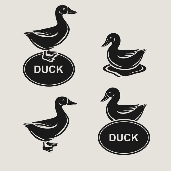 Duck set. Vector — Stock Vector