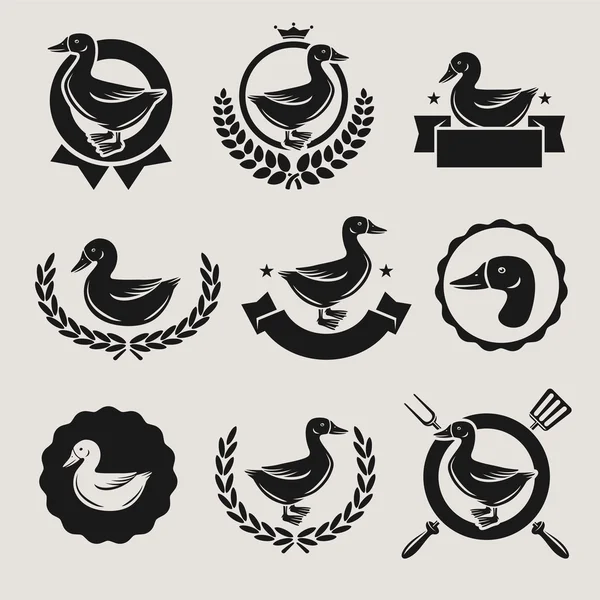 Duck labels and elements set. Vector — Stock Vector