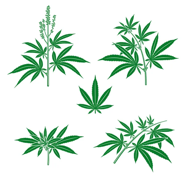 Cannabis, marihuana set. vector — Stockvector