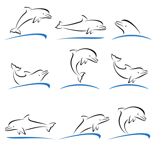 Delfines listos. Vector — Archivo Imágenes Vectoriales