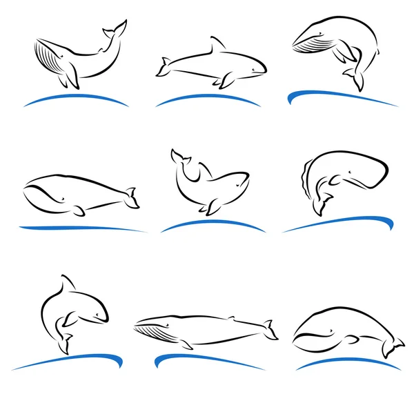 Set de ballenas. Vector — Vector de stock