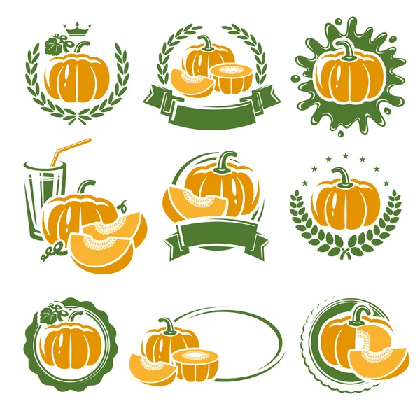 Pompoen labels en elementen instellen. Vector — Stockvector