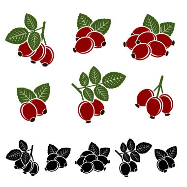 Briar ayarlayın. Vektör