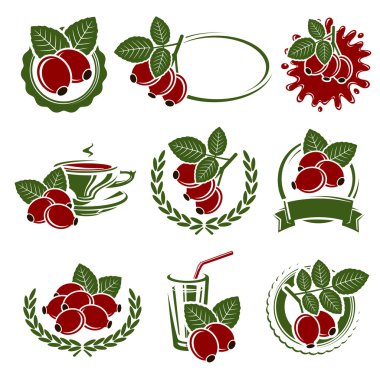 Briar etiketleri ve öğeleri ayarlayın. Vektör 